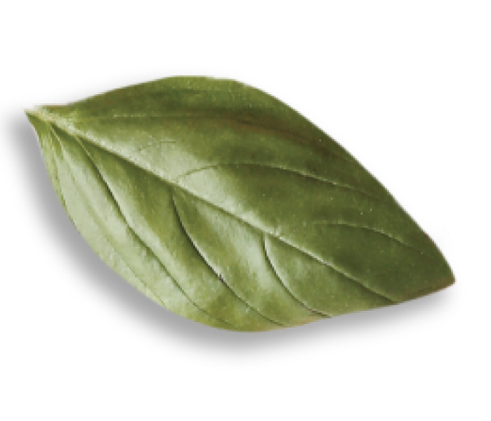 BASIL2